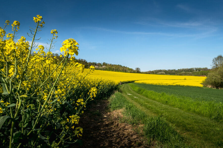 agro-ecologische-praktijken