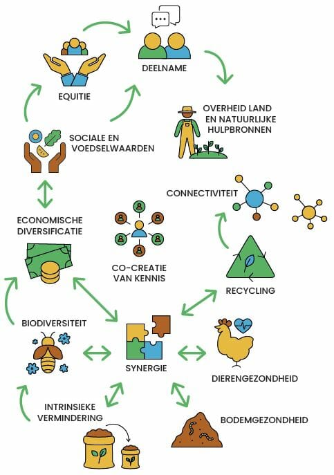 Schéma_13_principes_HoA_NL Schéma_13_principes_HoA_NL