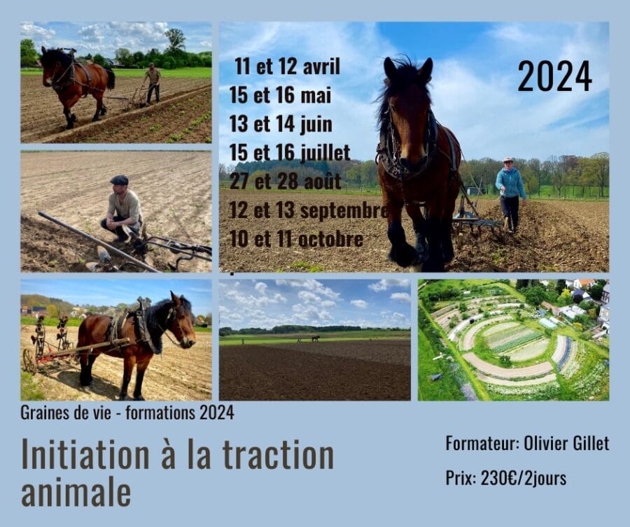 Graines de vie formation