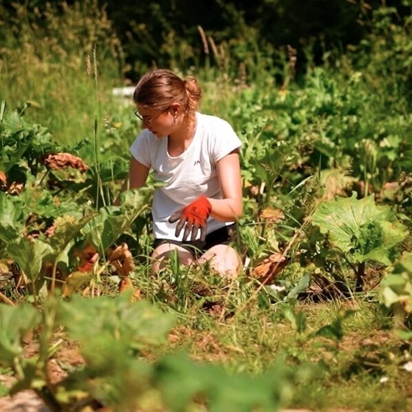 agroécologie
