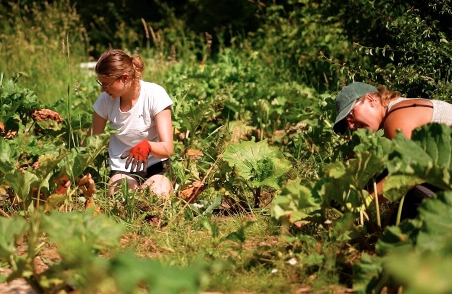 agroécologie